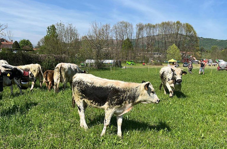 FIERA AGRICOLA DELLA VAL SANGONE 2026