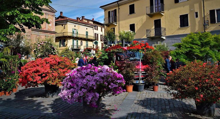 Domenica 10 maggio a giaveno ci sono "Maggionatura" e "GiaVINO"