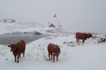 13-10 Neve al Moncenisio - Gilbert Pilloud.jpg
