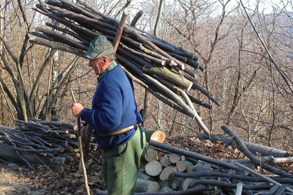 I lavori dell'inverno: far legna nei boschi, spalare la neve
