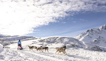 Grande Odyssèe 2025: i cani da slitta arrivano al Moncenisio
