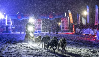 Grande Odyssèe 2025: i cani da slitta arrivano al Moncenisio