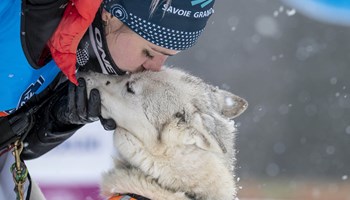 Grande Odyssèe 2025: i cani da slitta arrivano al Moncenisio
