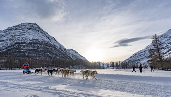Grande Odyssèe 2025: i cani da slitta arrivano al Moncenisio