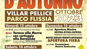 Festa e Fiera d’autunno a Villar Pellice.  Mostra bovina-ovina-caprina e mercato dei prodotti artigianali