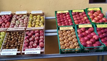 Domenica 10 novembre 2024 "Mela e dintorni" a Caprie