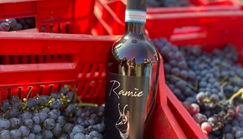 Festa finale per il Ciabot di Pomaretto.  Passeggiata e degustazione nelle vigne del Ramìe sabato 28 ottobre 