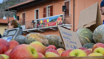 Domenica 10 novembre 2024 "Mela e dintorni" a Caprie