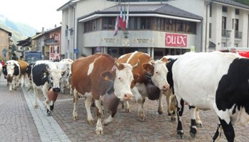 Ad Oulx domenica 6 ottobre è tempo di "Fiera Franca"