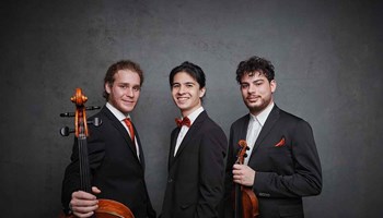 Trio Concept  (ex Trio Chagall): martedì 12 novembre 