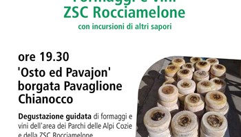 DEGUSTAZIONE FORMAGGI E VINI ZSC ROCCIAMELONE