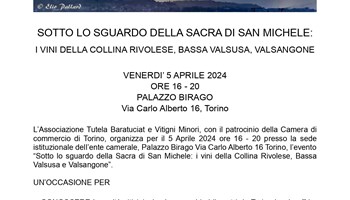SOTTO LO SGUARDO DELLA SACRA DI SAN MICHELE: I VINI DELLA COLLINA RIVOLESE, BASSA VALSUSA E VALSANGONE