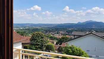 7daaf3a1-4386-420d-91e9-d45ddd121fec Fiori e Frutti Appartamenti