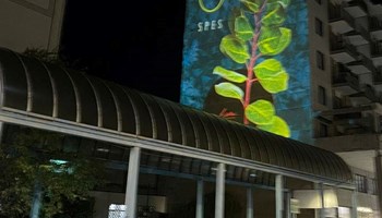 Natale a Pinerolo: la città si veste di arte e luci