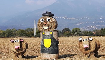 Domenica 27 ottobre 2024 c'è la Fiera Agricola di Milanere