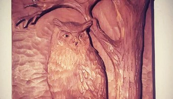 Agri 6 gufo Agri d’Oc