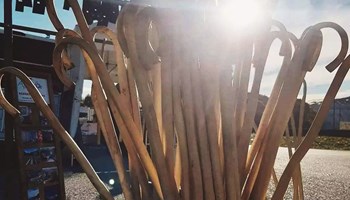 Agri 9 canne Agri d’Oc