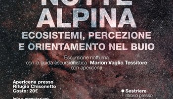 Notte Alpina