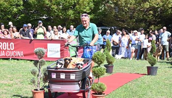 Fiera di San Donato 2026