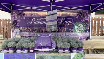 Lavanda del Lago a Cesana Torinese 2026