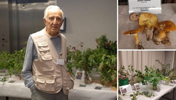 Mostra micologica 2026
