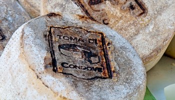 XXXVI Fiera della Toma 