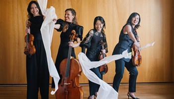 Quartetto Ardeo. Omaggio a Beethoven 