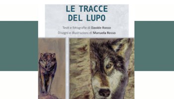 Le tracce del lupo