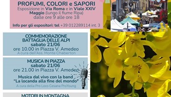 A Cesana torna la Festa del Maggiociondolo