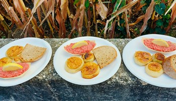 La Magnalonga di Drubiaglio: 6 chilometri a piedi tra natura e gastronomia