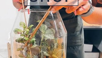 A NODOLAB UNA MOSTRA E UN GIARDINO SOTTO VETRO