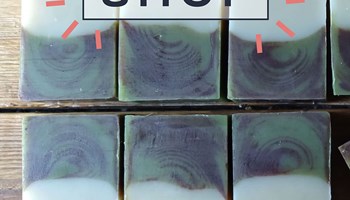 NODO CONCEPT SPACE PINEROLO: LABORATORI E MOSTRE DI NOVEMBRE