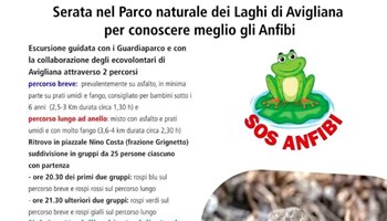 Avigliana, campagna "Sos Anfibi 2025"