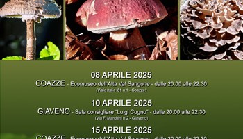 CORSO ABILITANTE PER LA VENDITA DI FUNGHI