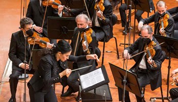 PROFESSIONE ORCHESTRA IN CONCERTO