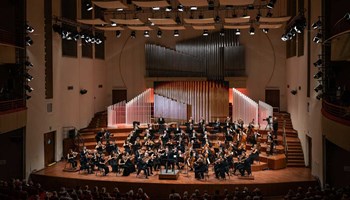 PROFESSIONE ORCHESTRA IN CONCERTO