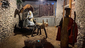 Presepe8.jpeg