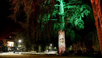 Festival delle luci 2023: a Giaveno un Natale incantato