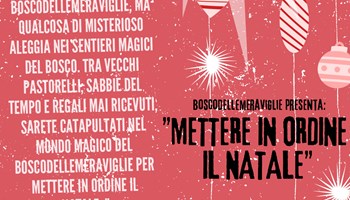 Le avventure del Boscodellemeraviglie: "METTERE IN ORDINE IL NATALE"