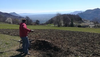 1200 Campo Muni 1200 Campo Muni.jpg