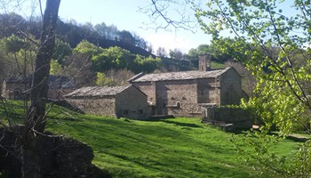 1200 Montebenedetto 1200 Montebenedetto.jpg