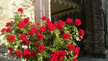 IMG_2969_0.JPG