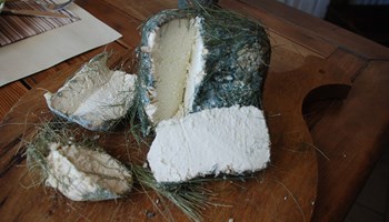 1000 formaggio.jpg