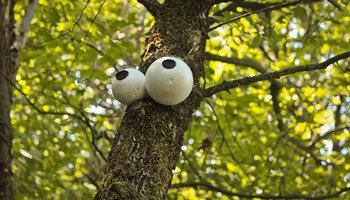 1000 garbin-3541 1000 garbin-3541.jpg