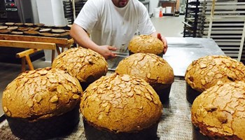 1000 panettoni.jpg
