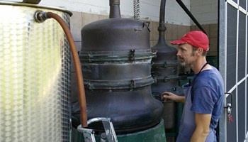 1100 distilleria 1100 distilleria.jpg