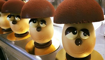 1100 funghi.jpg