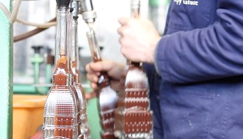 1100 mole3 1100 mole3.jpg