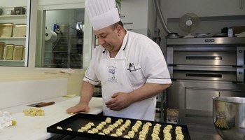 1100 ovis mollis.jpg