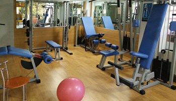 1100 palestra.jpg